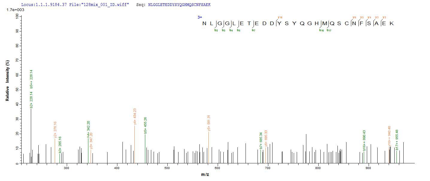 Additional SEQUEST analysis of the LC MS/MS spectra from QP8829 identified an additional between this protein and the spectra of another peptide sequence that matches a region of Cathepsin F confirming successful recombinant synthesis.