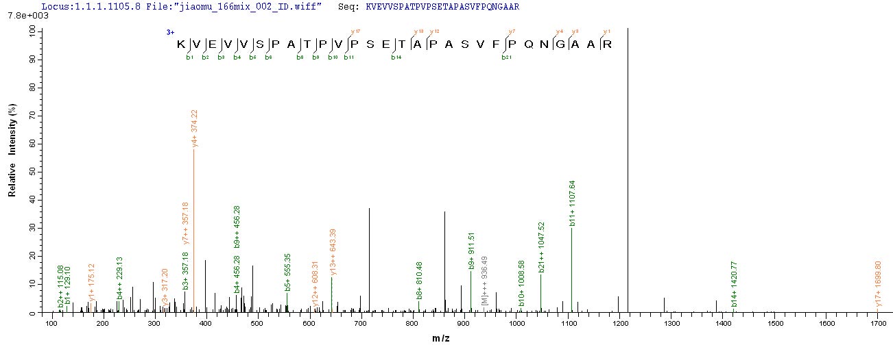 SEQUEST analysis of LC MS/MS spectra obtained from a run with QP8905 identified a match between this protein and the spectra of a peptide sequence that matches a region of Histone acetyltransferase KAT5.