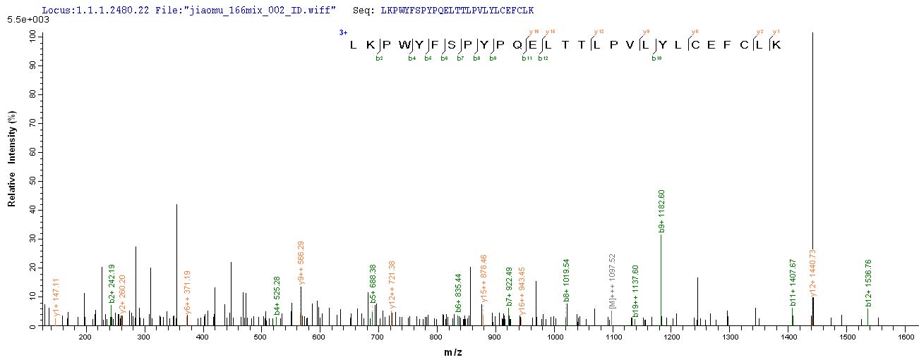 Additional SEQUEST analysis of the LC MS/MS spectra from QP8905 identified an additional between this protein and the spectra of another peptide sequence that matches a region of Histone acetyltransferase KAT5 confirming successful recombinant synthesis.