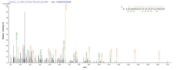 SEQUEST analysis of LC MS/MS spectra obtained from a run with QP8929 identified a match between this protein and the spectra of a peptide sequence that matches a region of Ag85A.
