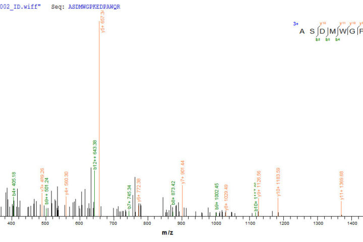 SEQUEST analysis of LC MS/MS spectra obtained from a run with QP8929 identified a match between this protein and the spectra of a peptide sequence that matches a region of Ag85A.