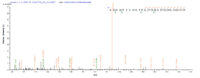 Additional SEQUEST analysis of the LC MS/MS spectra from QP8929 identified an additional between this protein and the spectra of another peptide sequence that matches a region of Ag85A confirming successful recombinant synthesis.