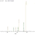 SEQUEST analysis of LC MS/MS spectra obtained from a run with QP9020 identified a match between this protein and the spectra of a peptide sequence that matches a region of C5a / Complement 5a.