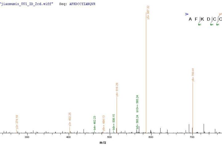 SEQUEST analysis of LC MS/MS spectra obtained from a run with QP9020 identified a match between this protein and the spectra of a peptide sequence that matches a region of C5a / Complement 5a.