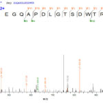 SEQUEST analysis of LC MS/MS spectra obtained from a run with QP9264 identified a match between this protein and the spectra of a peptide sequence that matches a region of MAPT / Tau.