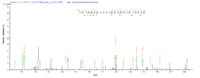 Additional SEQUEST analysis of the LC MS/MS spectra from QP9264 identified an additional between this protein and the spectra of another peptide sequence that matches a region of MAPT / Tau confirming successful recombinant synthesis.