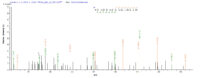 Additional SEQUEST analysis of the LC MS/MS spectra from QP9301 identified an additional between this protein and the spectra of another peptide sequence that matches a region of Nucleolin confirming successful recombinant synthesis.