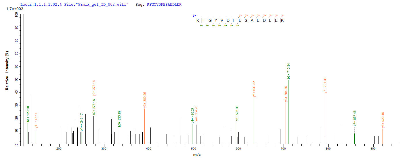 Additional SEQUEST analysis of the LC MS/MS spectra from QP9301 identified an additional between this protein and the spectra of another peptide sequence that matches a region of Nucleolin confirming successful recombinant synthesis.