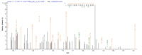 Additional SEQUEST analysis of the LC MS/MS spectra from QP9588 identified an additional between this protein and the spectra of another peptide sequence that matches a region of 2-deoxyglucose-6-phosphate phosphatase 1 confirming successful recombinant synthesis.