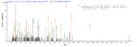 SEQUEST analysis of LC MS/MS spectra obtained from a run with QP9654 identified a match between this protein and the spectra of a peptide sequence that matches a region of Immunogenic protein MPT64.