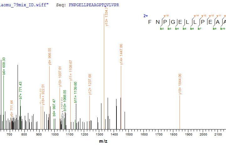 SEQUEST analysis of LC MS/MS spectra obtained from a run with QP9654 identified a match between this protein and the spectra of a peptide sequence that matches a region of Immunogenic protein MPT64.