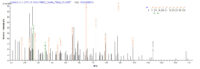 Additional SEQUEST analysis of the LC MS/MS spectra from QP9654 identified an additional between this protein and the spectra of another peptide sequence that matches a region of Immunogenic protein MPT64 confirming successful recombinant synthesis.