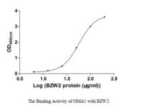 mitochondrial. These data demonstrate Greater than 80% as determined by SDS-PAGE.