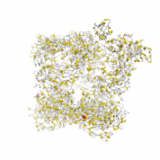 A2M  protein 3D structural model from Catalog of Somatic Mutations in Cancer originally published in the paper COSMIC: somatic cancer genetics at high-resolution