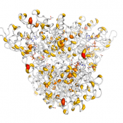 ACAD8  protein 3D structural model from Catalog of Somatic Mutations in Cancer originally published in the paper COSMIC: somatic cancer genetics at high-resolution