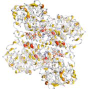 ACADSB  protein 3D structural model from Catalog of Somatic Mutations in Cancer originally published in the paper COSMIC: somatic cancer genetics at high-resolution