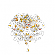 ACADVL  protein 3D structural model from Catalog of Somatic Mutations in Cancer originally published in the paper COSMIC: somatic cancer genetics at high-resolution