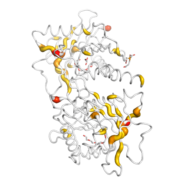 ACOT11  protein 3D structural model from Catalog of Somatic Mutations in Cancer originally published in the paper COSMIC: somatic cancer genetics at high-resolution