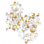 ACPP  protein 3D structural model from Catalog of Somatic Mutations in Cancer originally published in the paper COSMIC: somatic cancer genetics at high-resolution