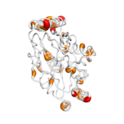 ADAT2  protein 3D structural model from Catalog of Somatic Mutations in Cancer originally published in the paper COSMIC: somatic cancer genetics at high-resolution