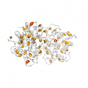 ADK  protein 3D structural model from Catalog of Somatic Mutations in Cancer originally published in the paper COSMIC: somatic cancer genetics at high-resolution