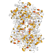 AHCY  protein 3D structural model from Catalog of Somatic Mutations in Cancer originally published in the paper COSMIC: somatic cancer genetics at high-resolution