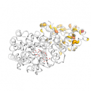 AICDA  protein 3D structural model from Catalog of Somatic Mutations in Cancer originally published in the paper COSMIC: somatic cancer genetics at high-resolution