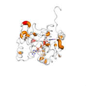 AK4  protein 3D structural model from Catalog of Somatic Mutations in Cancer originally published in the paper COSMIC: somatic cancer genetics at high-resolution