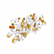 AK5  protein 3D structural model from Catalog of Somatic Mutations in Cancer originally published in the paper COSMIC: somatic cancer genetics at high-resolution