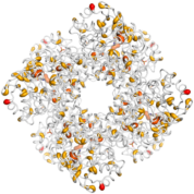 ALAD  protein 3D structural model from Catalog of Somatic Mutations in Cancer originally published in the paper COSMIC: somatic cancer genetics at high-resolution