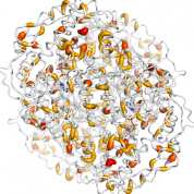 ALDH1A1  protein 3D structural model from Catalog of Somatic Mutations in Cancer originally published in the paper COSMIC: somatic cancer genetics at high-resolution