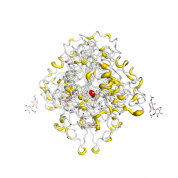 PLAP  protein 3D structural model from Catalog of Somatic Mutations in Cancer originally published in the paper COSMIC: somatic cancer genetics at high-resolution