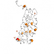 ANKRA2  protein 3D structural model from Catalog of Somatic Mutations in Cancer originally published in the paper COSMIC: somatic cancer genetics at high-resolution