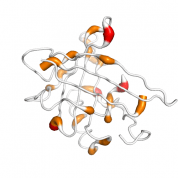 APO D  protein 3D structural model from Catalog of Somatic Mutations in Cancer originally published in the paper COSMIC: somatic cancer genetics at high-resolution