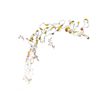 APOH  protein 3D structural model from Catalog of Somatic Mutations in Cancer originally published in the paper COSMIC: somatic cancer genetics at high-resolution