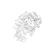 ASPSCR1  protein 3D structural model from Catalog of Somatic Mutations in Cancer originally published in the paper COSMIC: somatic cancer genetics at high-resolution