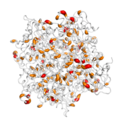 AUH  protein 3D structural model from Catalog of Somatic Mutations in Cancer originally published in the paper COSMIC: somatic cancer genetics at high-resolution