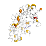 AURKB  protein 3D structural model from Catalog of Somatic Mutations in Cancer originally published in the paper COSMIC: somatic cancer genetics at high-resolution