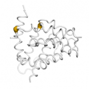 BAD Protein  protein 3D structural model from Catalog of Somatic Mutations in Cancer originally published in the paper COSMIC: somatic cancer genetics at high-resolution