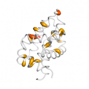 BCL2A1  protein 3D structural model from Catalog of Somatic Mutations in Cancer originally published in the paper COSMIC: somatic cancer genetics at high-resolution
