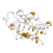 BECN1  protein 3D structural model from Catalog of Somatic Mutations in Cancer originally published in the paper COSMIC: somatic cancer genetics at high-resolution