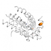 BUD31  protein 3D structural model from Catalog of Somatic Mutations in Cancer originally published in the paper COSMIC: somatic cancer genetics at high-resolution