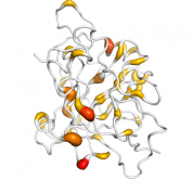 CA3  protein 3D structural model from Catalog of Somatic Mutations in Cancer originally published in the paper COSMIC: somatic cancer genetics at high-resolution