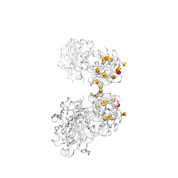 MCP 1  protein 3D structural model from Catalog of Somatic Mutations in Cancer originally published in the paper COSMIC: somatic cancer genetics at high-resolution