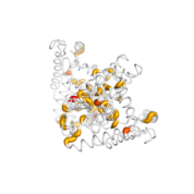 CCNH  protein 3D structural model from Catalog of Somatic Mutations in Cancer originally published in the paper COSMIC: somatic cancer genetics at high-resolution