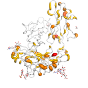 CD1B  protein 3D structural model from Catalog of Somatic Mutations in Cancer originally published in the paper COSMIC: somatic cancer genetics at high-resolution