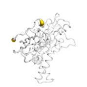 CD247  protein 3D structural model from Catalog of Somatic Mutations in Cancer originally published in the paper COSMIC: somatic cancer genetics at high-resolution