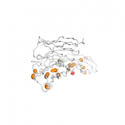 CD274  protein 3D structural model from Catalog of Somatic Mutations in Cancer originally published in the paper COSMIC: somatic cancer genetics at high-resolution
