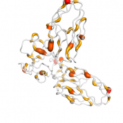 CD300A  protein 3D structural model from Catalog of Somatic Mutations in Cancer originally published in the paper COSMIC: somatic cancer genetics at high-resolution