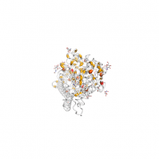 CD36  protein 3D structural model from Catalog of Somatic Mutations in Cancer originally published in the paper COSMIC: somatic cancer genetics at high-resolution